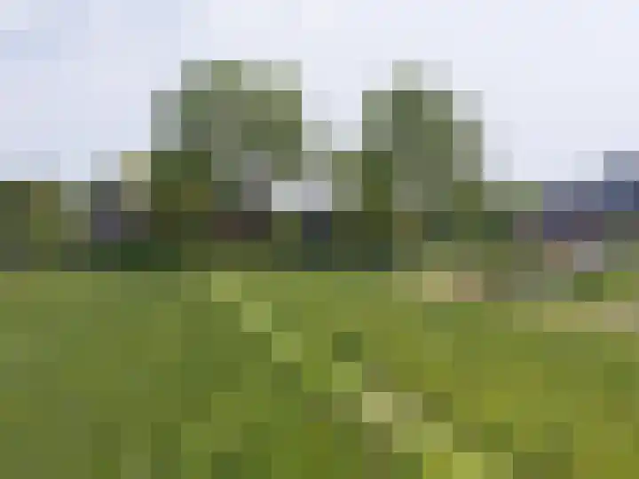 Kerkweg 59 Venhuizen thumbnail 6