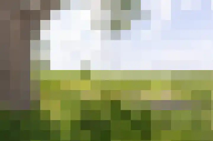 Kerkweg 59 Venhuizen thumbnail 7