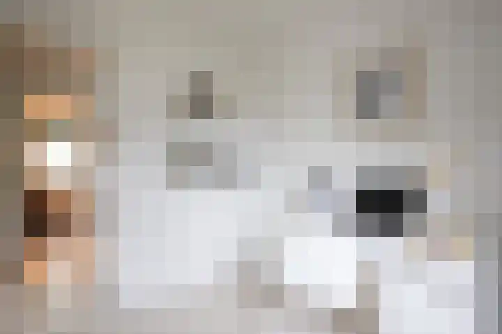 Kerkweg 6 Maarssen thumbnail 23