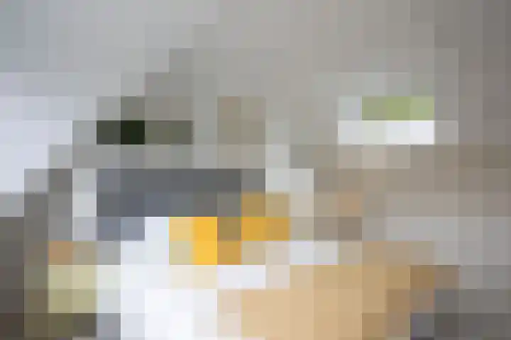 Kerkweg 6 Maarssen thumbnail 36