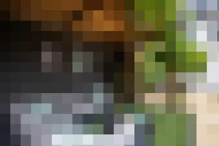 Kerkweg 6 Maarssen thumbnail 46