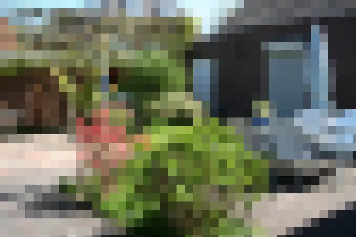 Kerkweg 6 Malden thumbnail 4