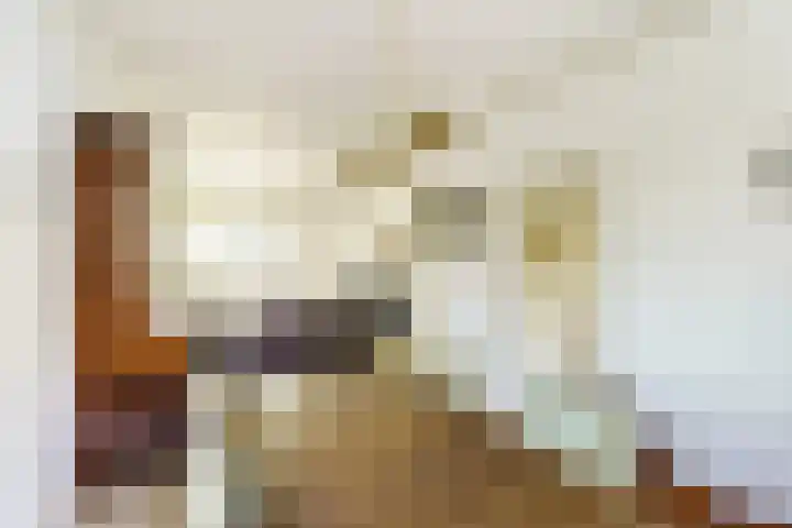 Kerkweg 6 Nootdorp thumbnail 18