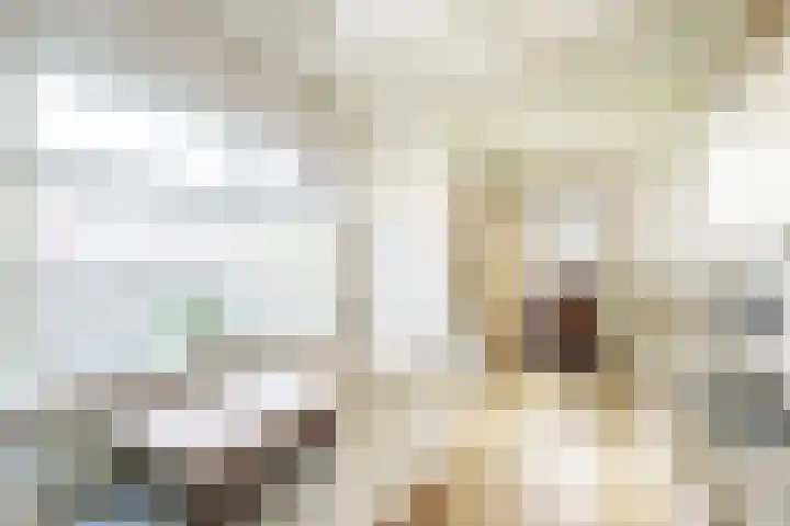 Kerkweg 6 Nootdorp thumbnail 20