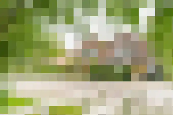 Kerkweg 6 Nootdorp thumbnail 27
