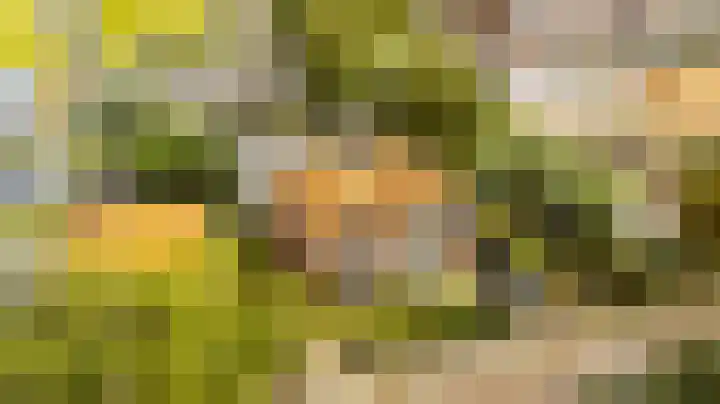 Kerkweg 6 Nootdorp thumbnail 31