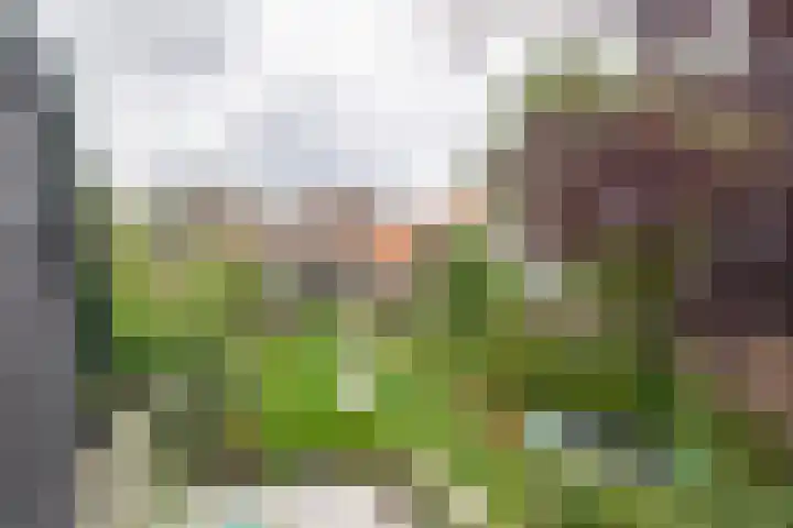 Kerkweg 61 Ouderkerk aan den IJssel thumbnail 31