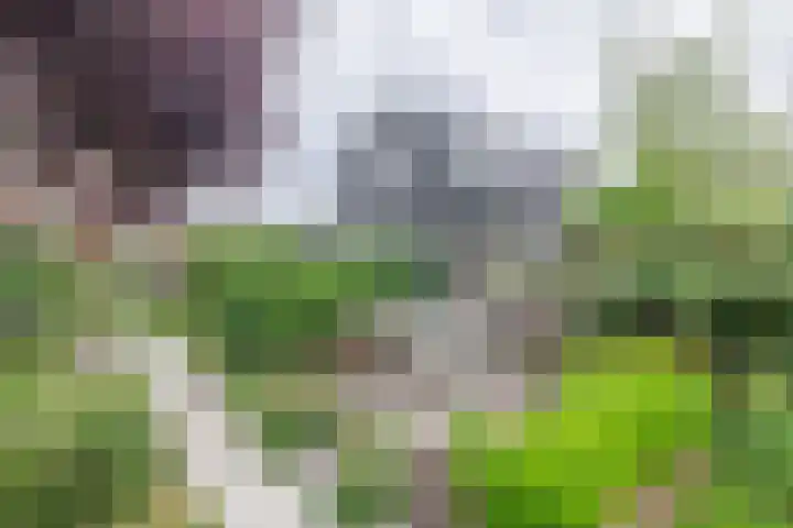 Kerkweg 61 Ouderkerk aan den IJssel thumbnail 34