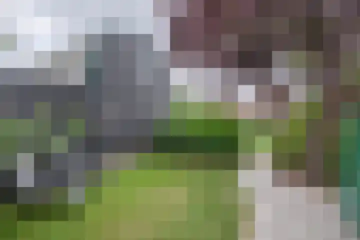 Kerkweg 61 Ouderkerk aan den IJssel thumbnail 35