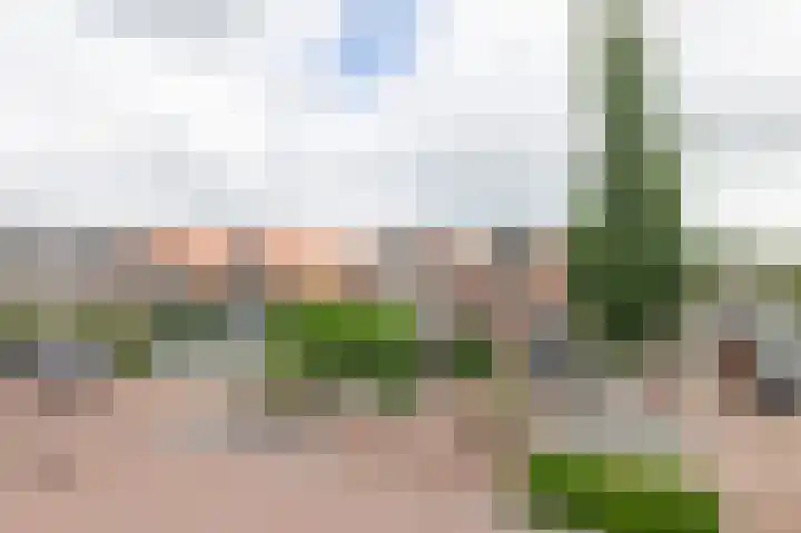 Kerkweg 61 Ouderkerk aan den IJssel thumbnail 6
