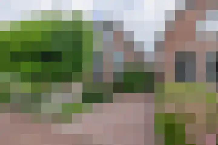 Kerkweg 61 Ouderkerk aan den IJssel thumbnail 8