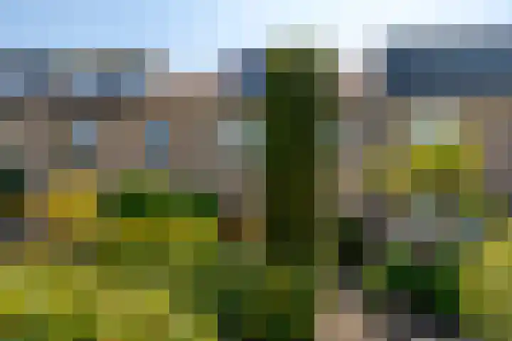 Kerkweg 62 Zwolle thumbnail 10