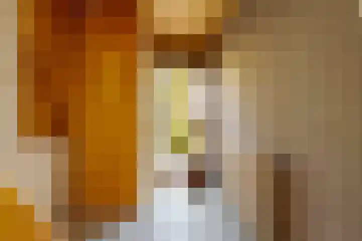 Kerkweg 62 Zwolle thumbnail 13