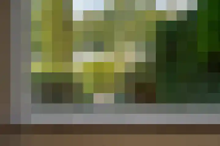 Kerkweg 62 Zwolle thumbnail 17