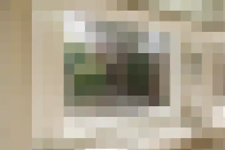 Kerkweg 62 Zwolle thumbnail 19