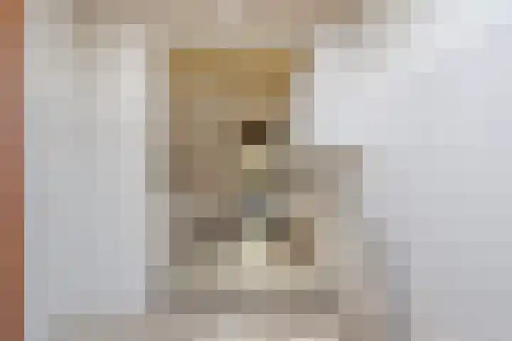 Kerkweg 62 Zwolle thumbnail 22