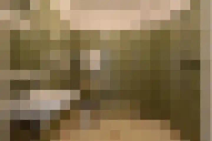 Kerkweg 62 Zwolle thumbnail 39