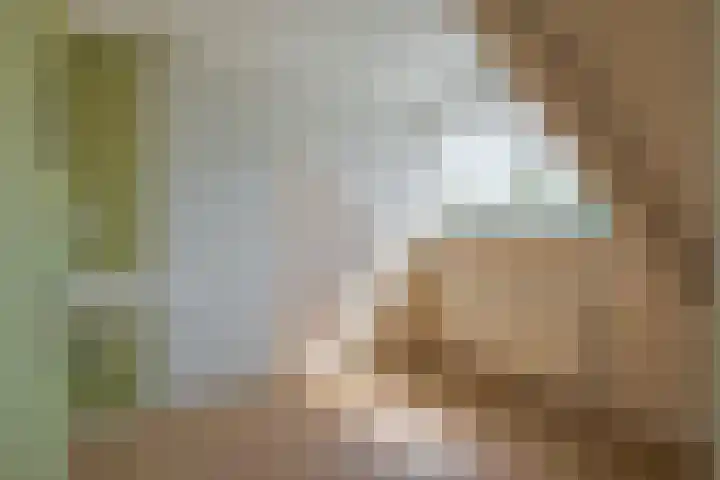 Kerkweg 62 Zwolle thumbnail 47