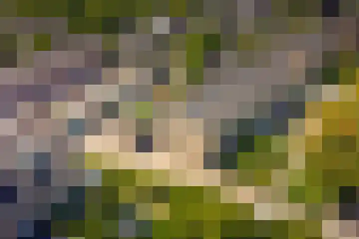 Kerkweg 62 Zwolle thumbnail 5
