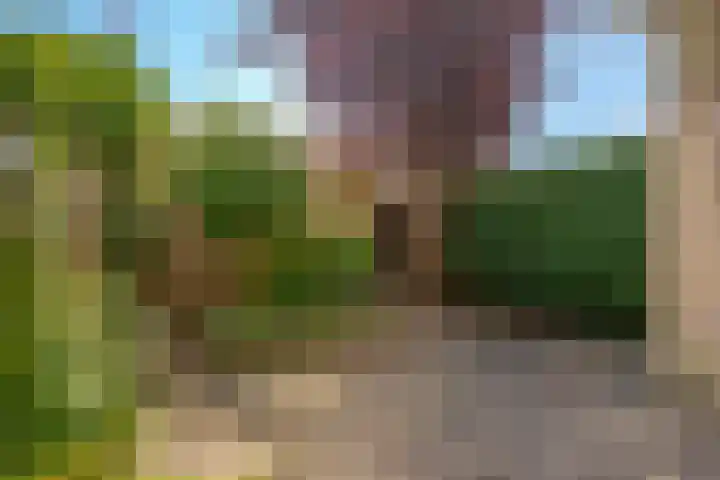 Kerkweg 62 Zwolle thumbnail 54