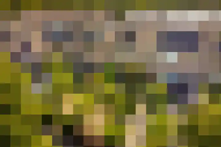 Kerkweg 62 Zwolle thumbnail 55