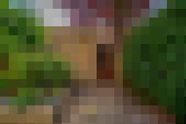 Kerkweg 62 Zwolle thumbnail 56