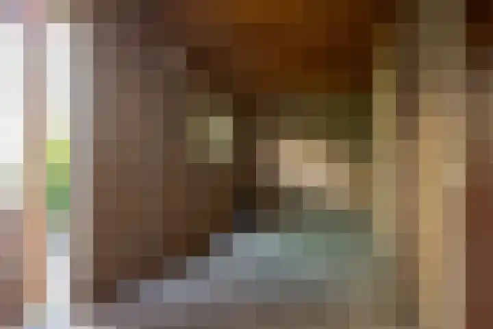 Kerkweg 62 Zwolle thumbnail 57