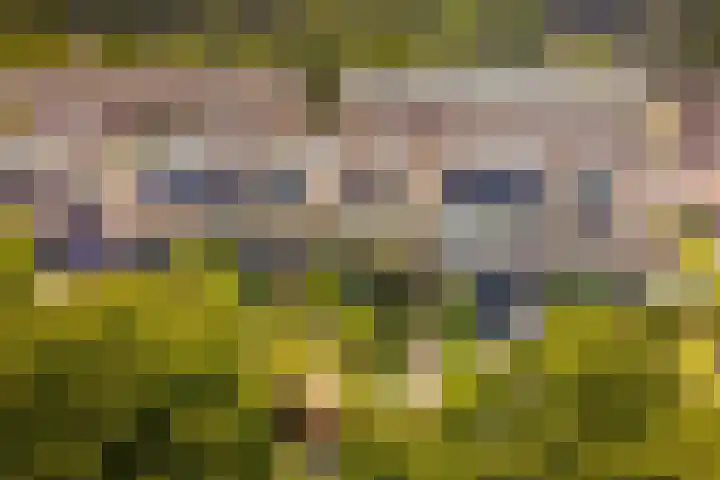 Kerkweg 62 Zwolle thumbnail 6