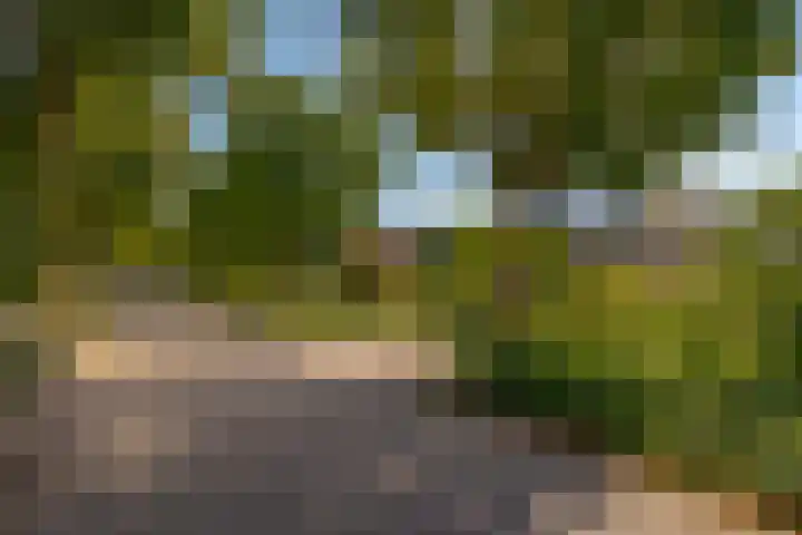 Kerkweg 62 Zwolle thumbnail 7