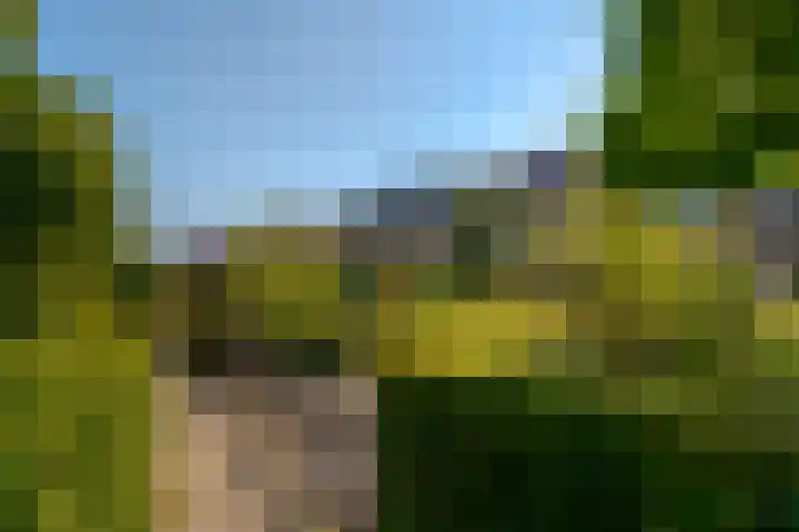 Kerkweg 62 Zwolle thumbnail 8