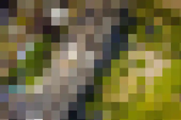 Kerkweg 62 Zwolle thumbnail 9