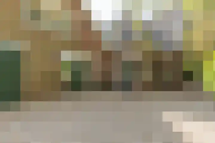 Kerkweg 66 in Woubrugge