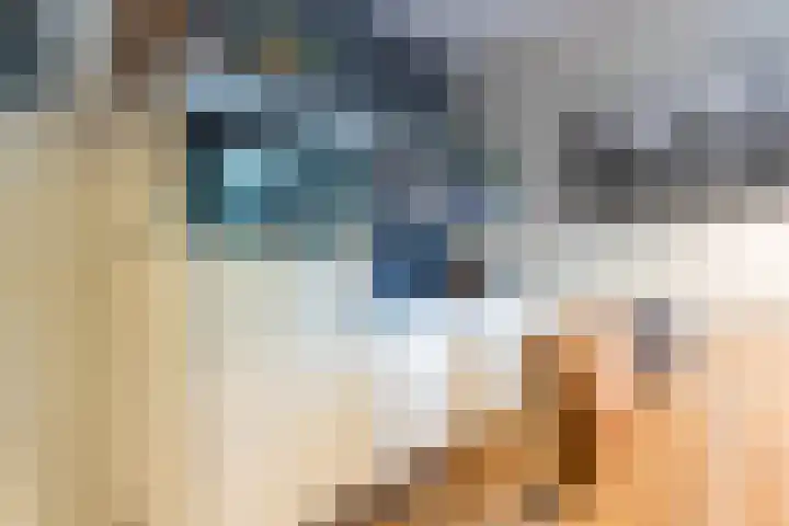Kerkweg 66 Woubrugge thumbnail 10