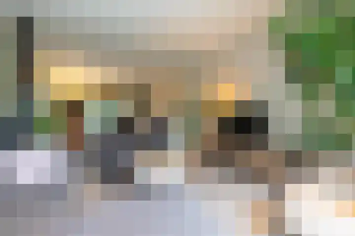 Kerkweg 66 Woubrugge thumbnail 12