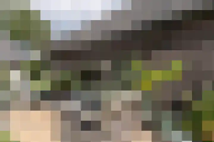Kerkweg 66 Woubrugge thumbnail 17