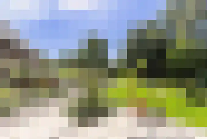 Kerkweg 66 Woubrugge thumbnail 18