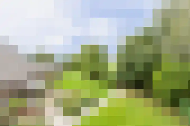 Kerkweg 66 Woubrugge thumbnail 28