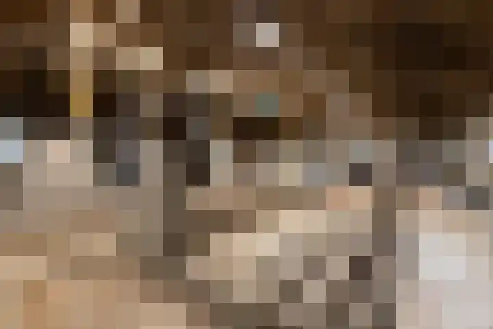 Kerkweg 66 Woubrugge thumbnail 48