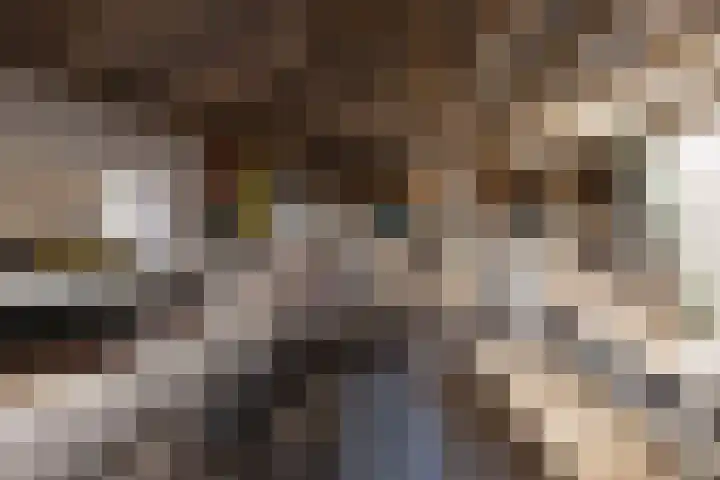 Kerkweg 66 Woubrugge thumbnail 49