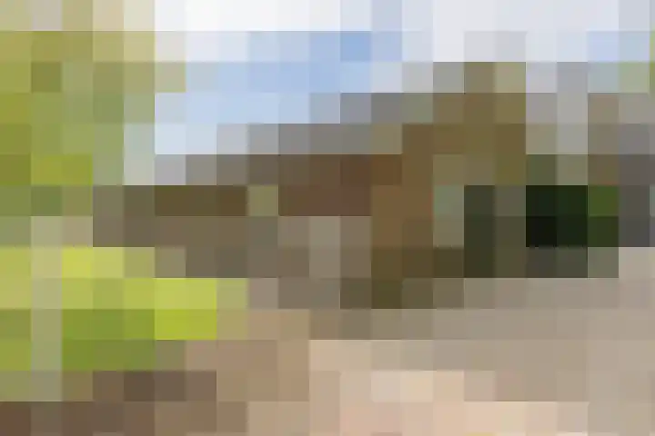Kerkweg 66 Woubrugge thumbnail 51