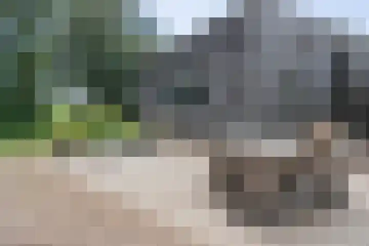 Kerkweg 66 Woubrugge thumbnail 54