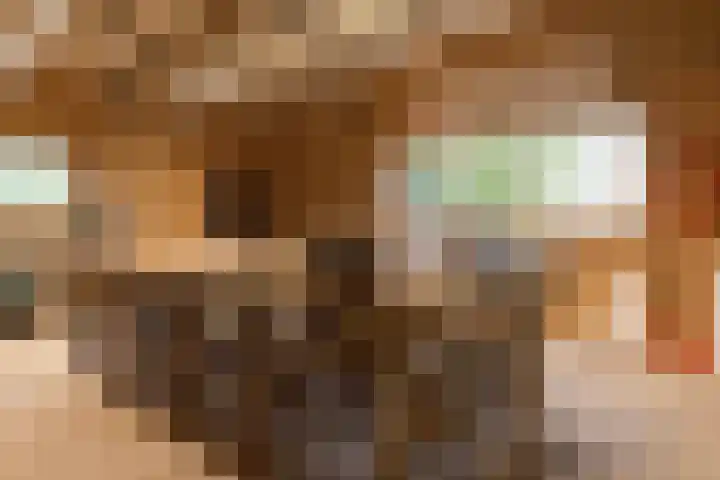 Kerkweg 66 Woubrugge thumbnail 56