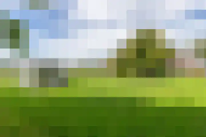 Kerkweg 66 Woubrugge thumbnail 58