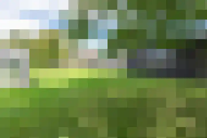 Kerkweg 66 Woubrugge thumbnail 59