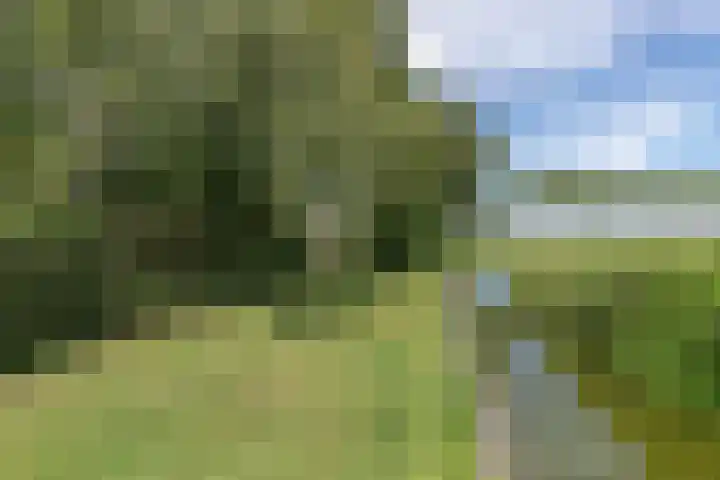Kerkweg 66 Woubrugge thumbnail 62