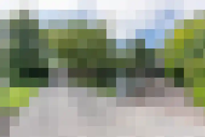 Kerkweg 66 Woubrugge thumbnail 63