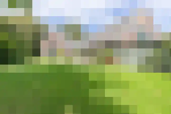 Kerkweg 66 Woubrugge thumbnail 65
