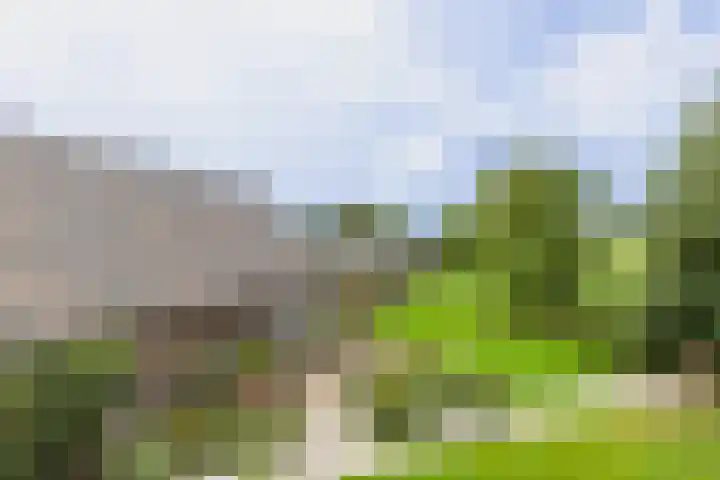 Kerkweg 66 Woubrugge thumbnail 66