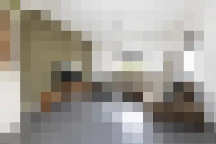Kerkweg 67 Wezep thumbnail 10