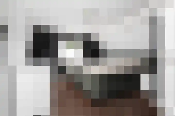 Kerkweg 67 Wezep thumbnail 26